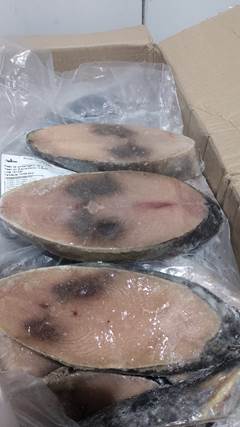POSTA ATUM  2X5KG CX10KG