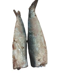 SARDINHA SALGADA BANDEJA 10KG