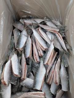 SARDINHA LAGE EVISC CASTRO CX15KG 