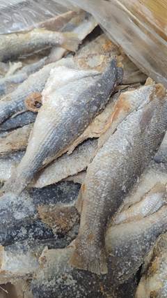 PESCADA SALG CO (G) IDEAL CX 10KG