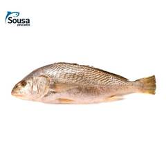 CORVINA INT 1/2KG SOUZA PESCADOS CX15KG
