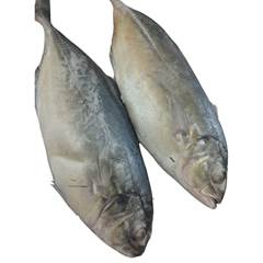 XERELETE 2/4 PC CAIS CX 15 KG