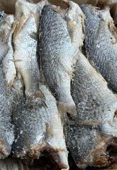 PESCADINHA M SALGADA ROCHA CX 10KG