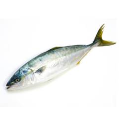 OLHETE INT 2/4 KG SACO RAFIA KG