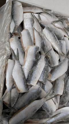 SARDINHA LAGE EVISCERADA 6/10 PECAS PORTO BELO CX15KG