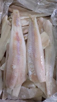 FILE DE MERLUZA FORTFISH GRANEL CX 10KG