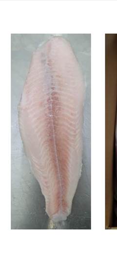 FILE DE PANGA INTERFOLHADO PREMIM CX10KG