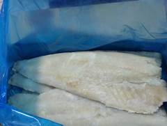 FILE DE SAITHE IQF 1000/2000KG CX 10KG
