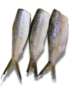 SARDINHA LAGE EVISCERADA PHILIMAR CX 15 KG