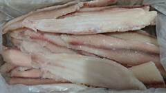 FILE DE SURUBIM GRANEL GPESCA CX10KG