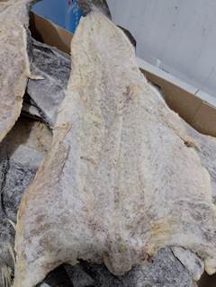 BACALHAU 16/20 CX 25KG
