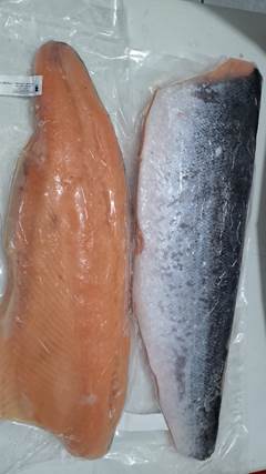 FILE DE SALMAO SALAR 3.180/3.632+CX18KG