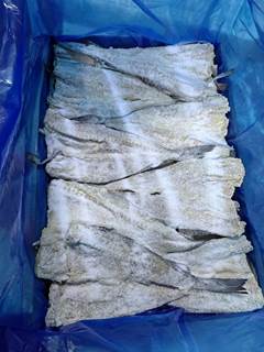 POLACA SALGADA 250-350G CX 10KG