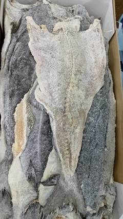 BACALHAU SAITHE 16/20 CX 25KG