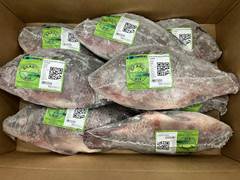 TILAPIA EVISCERADA 1000/1500 ENVELOPADA LAGUBRAS CX 15KG