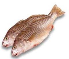 CASTANHA INTEIRA 2/4 PECAS CAIS DO ATLANTICO CX 15KG