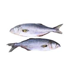 ANCHOVA INTEIRA 700/1000 LEARDINI CX17KG