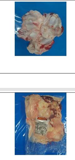 OSSO DO PATINHO BOVINO CONGELADO ALIMENTAR KG