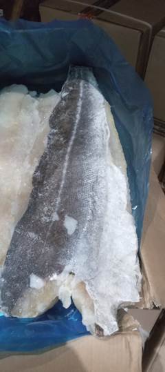 FILE DE SAITHE 1KG UP CX 11KG