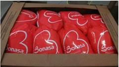 FRANGO CONGELADO BONASA CAIXA 20KG