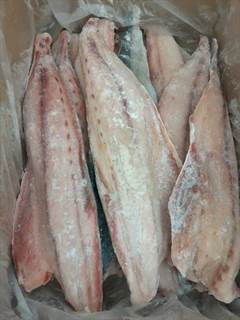 FILE DE OLHETE 800/1200 CX 13KG