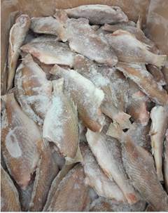 CASTANHA EVISCERADA 3/5 PC CX20KG