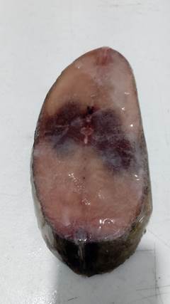 POSTA BONITO PACOTE 5KG CX 15KG