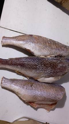 CORVINA EVISCERADA 2/3 PC CX 15KG