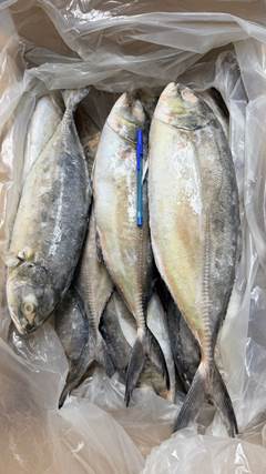 XERELETE INTEIRO 700UP CAIXA 15KG