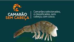 CAMARAO CINZA SEM CABECA 61/70 BLOCO 6X2KG CAIXA 12KG