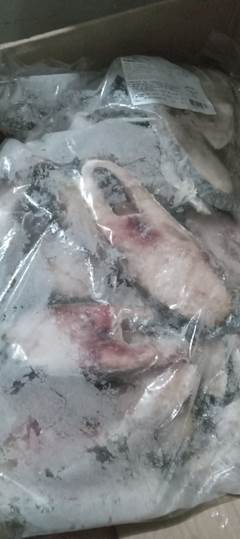 POSTA TAINHA PACOTE 5KG CAIXA 10KG