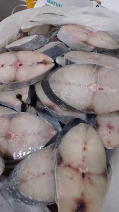 POSTA DE CAVALA ATUM DO BRA CX 10KG     