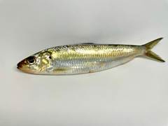 SARDINHA 7/8 PC LAGUBRAS CX 15KG