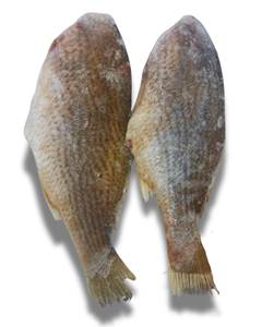 CASTANHA EVISC 2/3 PCS LEARDINI  CX 17KG